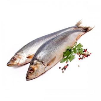 сельдь свежемороженая тихоокеанская, кг. сельдь 200-300 свежемороженая. атлантическая сельдь. сельдь с/м вес 1 кг россия. сельдь атлантическая слабосоленая.