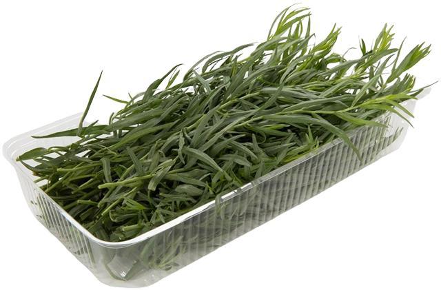 Тархун ЛЕТО  50 гр., лоток