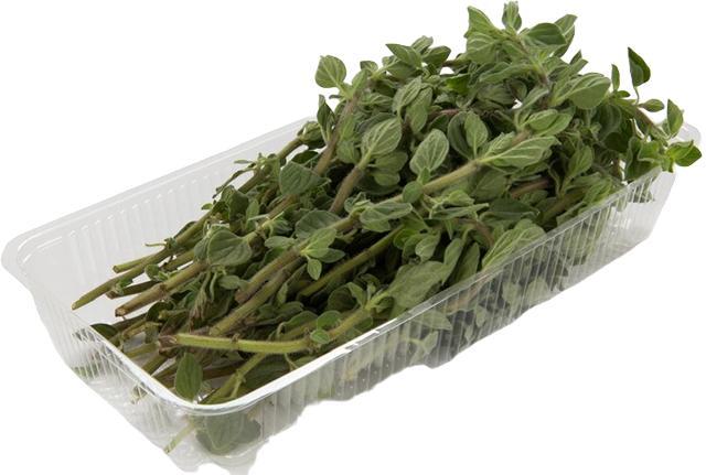 Майоран ЛЕТО  30 гр., лоток