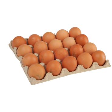 Яйцо куриное Леноблптицепром пищевое столовое 3 шт