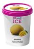 Мороженое Baskin Robbins BRandICE Пинта Сорбет Манго 500 гр., ведро