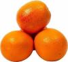Апельсины Фрут Сервис, 20 кг., картон