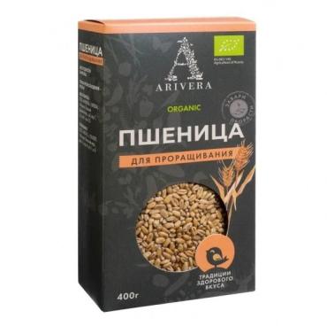 Пшеница Arivera для проращивания БИО, 400 гр., картон