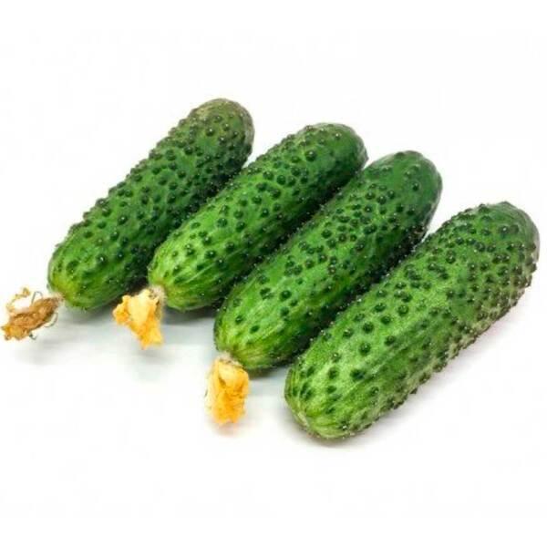 Огурцы Люкс высшая категория 1 кг., картон