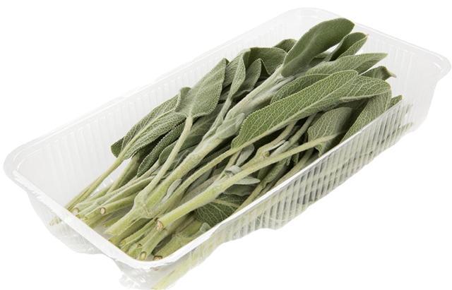 Шалфей ЛЕТО  30 гр., лоток