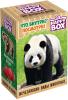 Карамель Happy Box Исчезающие виды животных с игрушкой 30 гр., картон