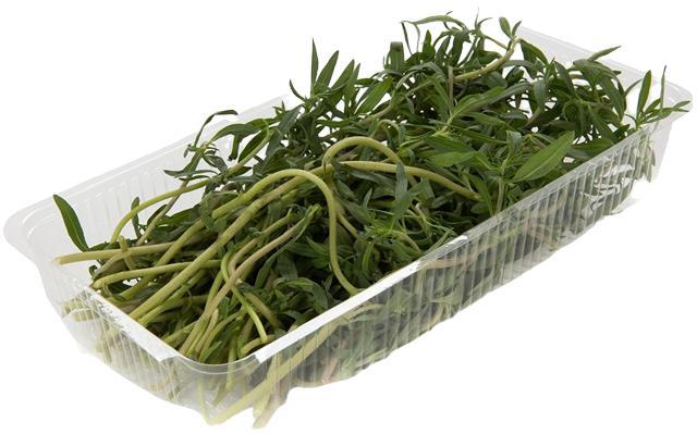 Чабер ЛЕТО  30 гр., лоток