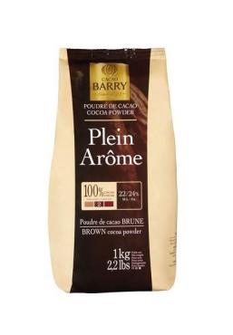 Какао-порошок BARRY Plein Arome 22-24% 1кг