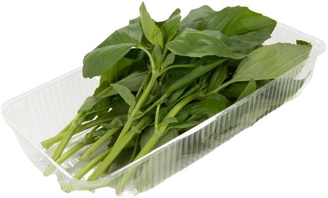 Базилик ЛЕТО красный  30 гр., лоток