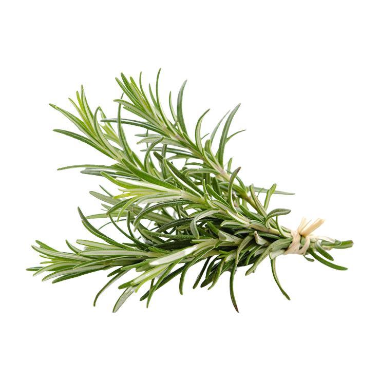 Розмарин 1 кг., картон