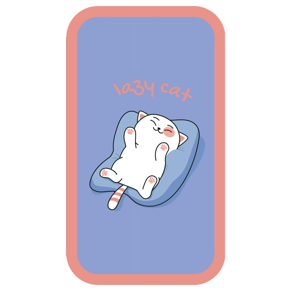 Пенал ArtSpace Lazy cat 3 отделения 190 х 110 ламинированный картон софт-тач., пакет