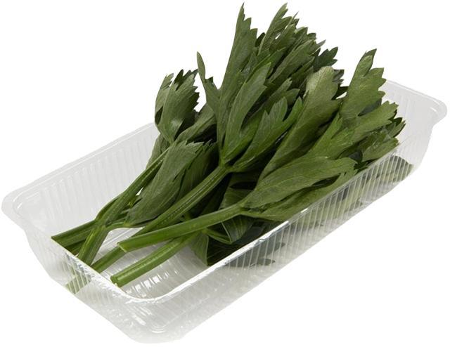 Сельдерей ЛЕТО  30 гр., лоток