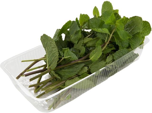 Мята ЛЕТО  50 гр., лоток