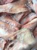 Шкурка свинная замороженная Семидаль, 27 кг., гофрокороб