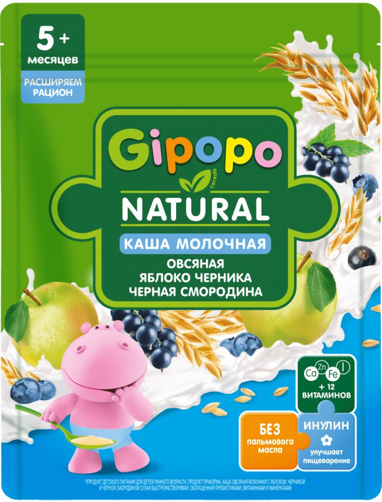 Каша GIPOPO сухая молочная Овсяная Яблоко, черника, черная смородина, 170 гр., дой-пак