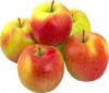 Яблоки SRL Плюс Агро красные  10%, 25 кг., картон