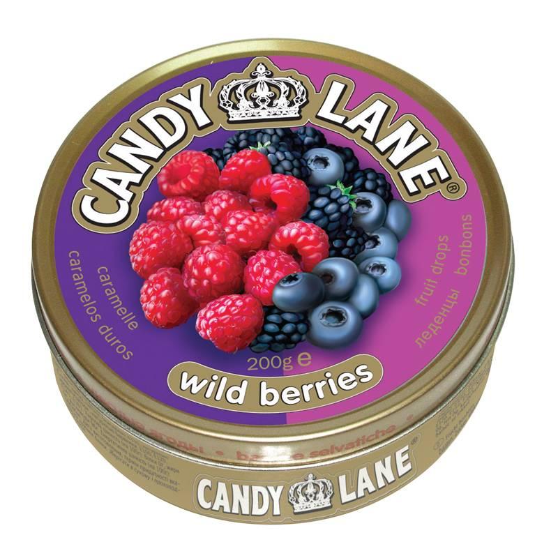 Леденцы Candy Lane Лесные ягоды 260 гр., ж/б