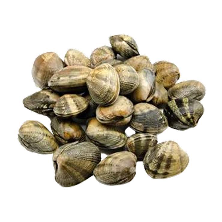 Клеммы вонголе 31/40 в/м 1 кг., картон