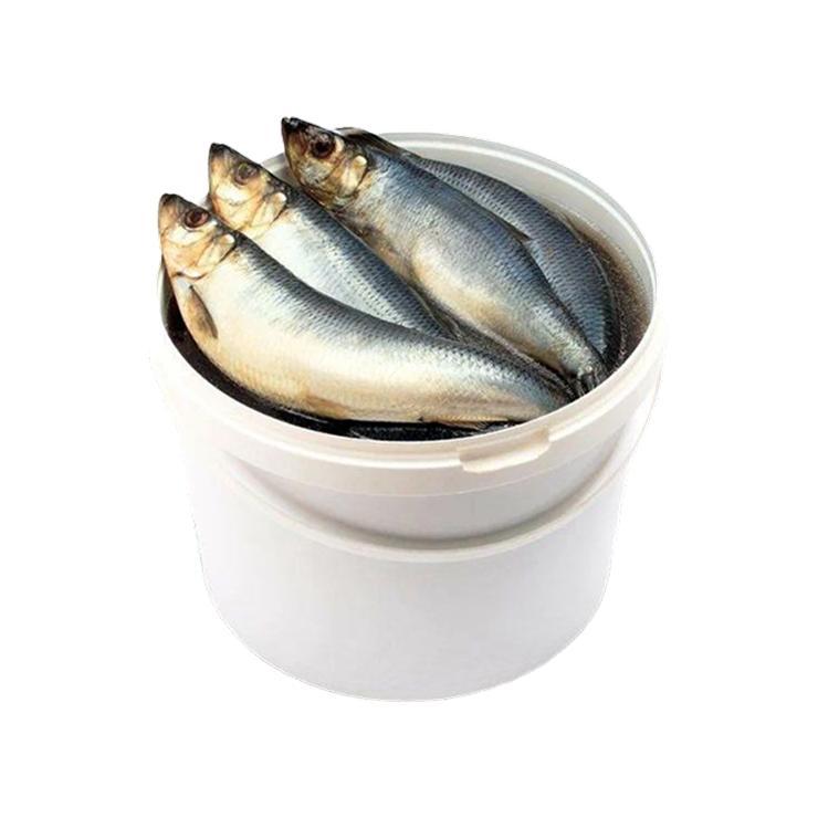 Сельдь Жемчужина 4 кг., пластиковая упаковка