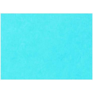 Картон цветной тонированный А4, Лилия Холдинг, 200г/м2, 50л., синий