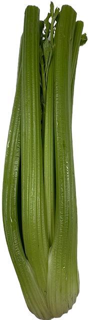 Сельдерей ЛЕТО 1 шт ., флоу-пак