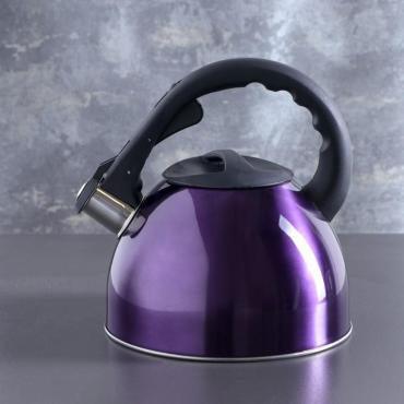 Чайник Доляна Модерн 2,1 л. со свистком фиксированная ручка фиолетовый