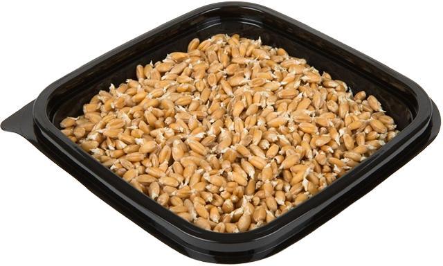 Проростки пшеницы ЛЕТО  150 гр., лоток