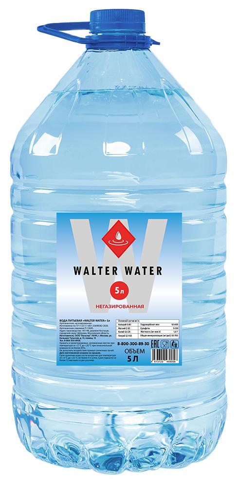 Вода питьевая негазированная Walter Water 5 л., ПЭТ