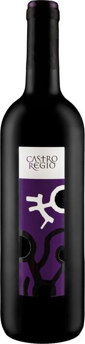Вино Castro Regio 11% ординарное красное сухое, 750 мл., стекло
