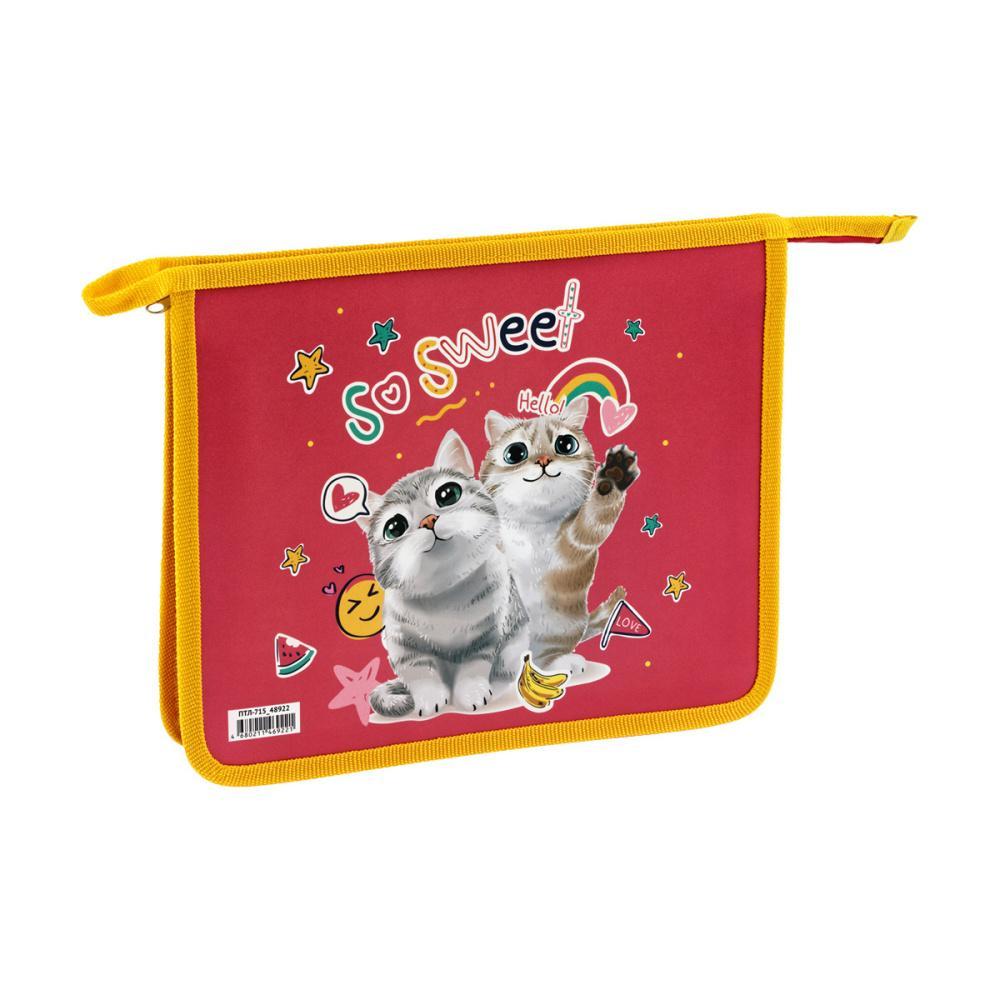 Папка для тетрадей ArtSpace Cute Cats 240х190х40 мм А5 1 отделение на молнии пластик, пакет