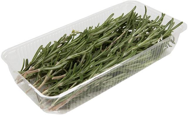 Розмарин ЛЕТО  30 гр., лоток