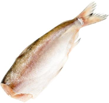 Минтай 30+, замороженный минтай пластом одна рыбка весом более 300 гр., 22 кг.