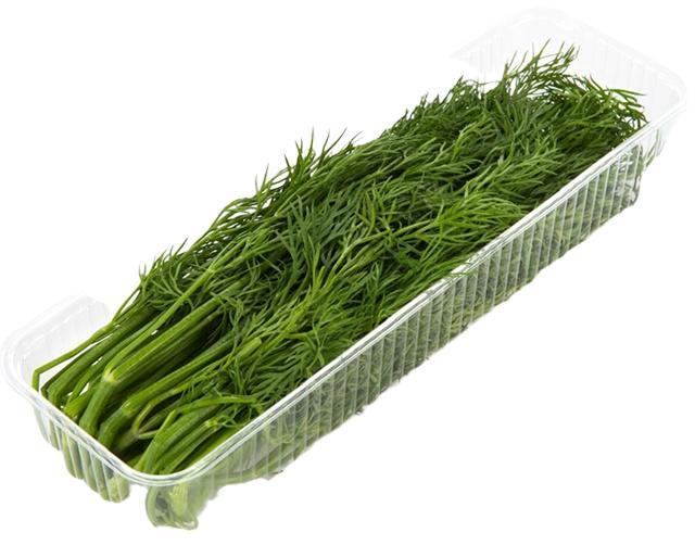 Укроп ЛЕТО  250 гр., флоу-пак