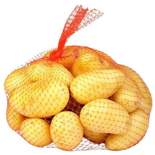 Картофель мытый 50+ 25 кг., сетка