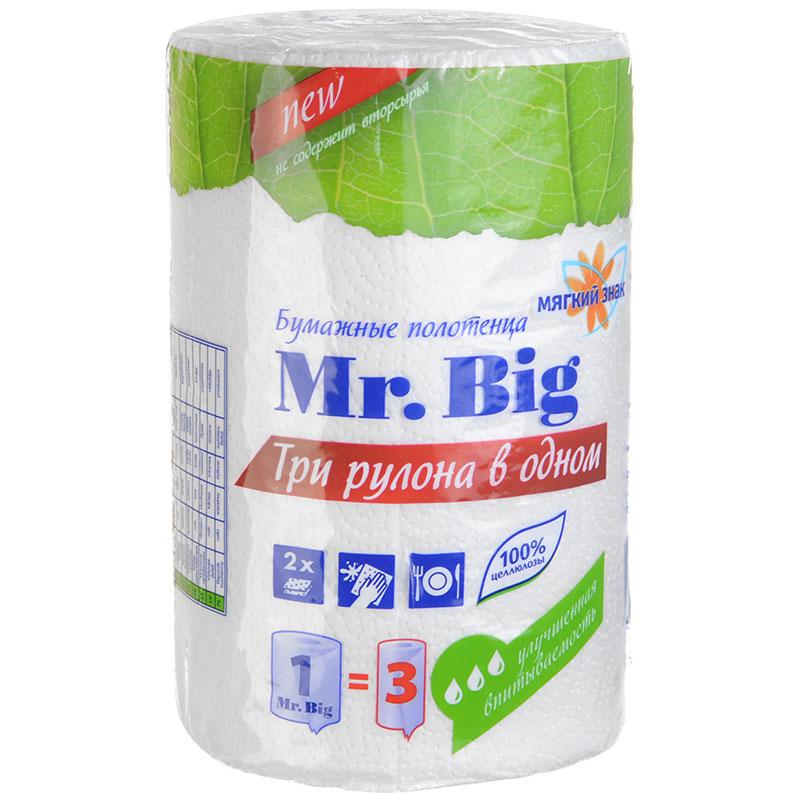 Бумажные полотенца Мягкий знак Mr.Big 2 слоя