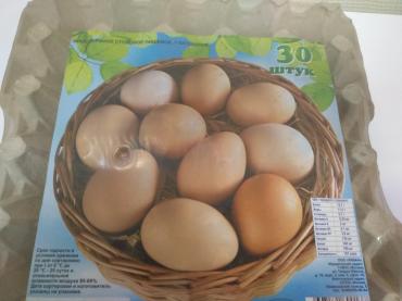 Яйцо куриное Veles 1С 30шт.